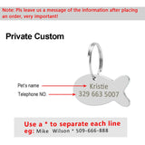 Cat Harness and Leash - Funny Kitten Shop