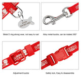 Cat Harness and Leash - Funny Kitten Shop