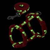 Cat Harness and Leash - Funny Kitten Shop