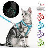 Cat Harness and Leash - Funny Kitten Shop