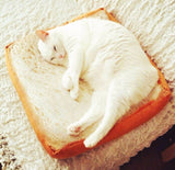 Toast Bread Slice  Bed For Cats - Funny Kitten Shop
