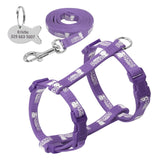 Cat Harness and Leash - Funny Kitten Shop