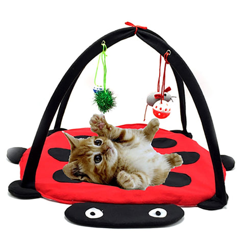 Kitten Toy Bed - Funny Kitten Shop