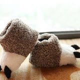 Funny Claw Slippers - Funny Kitten Shop