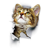 3D Kitten Wall Sticker - Funny Kitten Shop