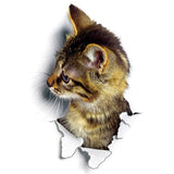 3D Kitten Wall Sticker - Funny Kitten Shop