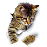 3D Kitten Wall Sticker - Funny Kitten Shop