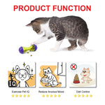 Smart Kitty IQ Toy - Funny Kitten Shop