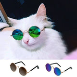 Fashion Cat Sunglasses - Funny Kitten Shop