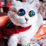 Fashion Cat Sunglasses - Funny Kitten Shop