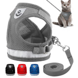 Cat Harness and Leash Set - Funny Kitten Shop